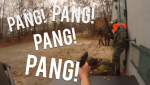 pangpangpang